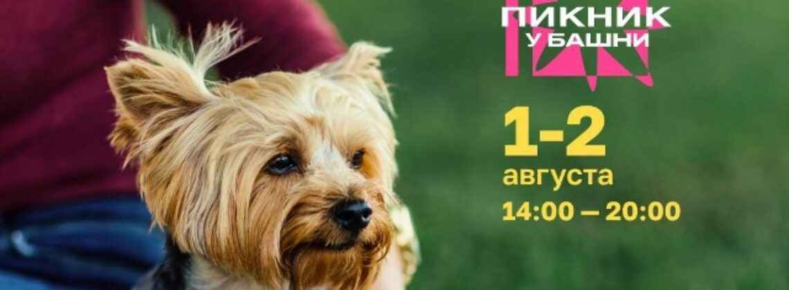 «Пикник у «Башни»