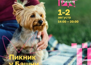 «Пикник у «Башни»