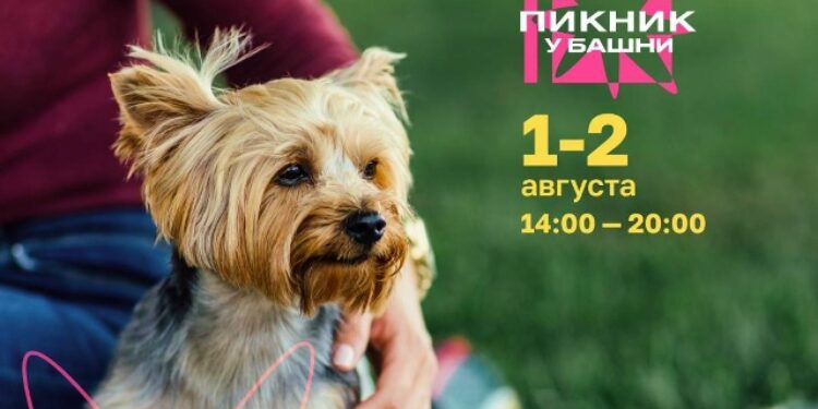 «Пикник у «Башни»