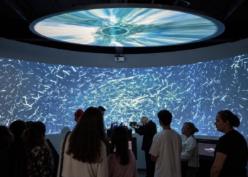 SCIENCE ART ЛАБОРАТОРИЯ «СПЛАВ: Исследования + Искусство»